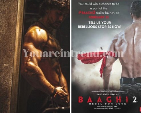 Baaghi 2 Cast, Crew, Storyline, Release Date